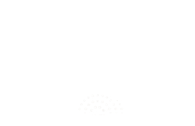 202503171057066821250